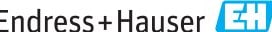 Endress & Hauser