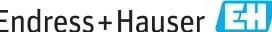 Endress & Hauser