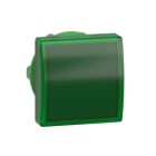 Schneider Automation - kop voor lampje - Ø22 - vierkant - glad kapje groen