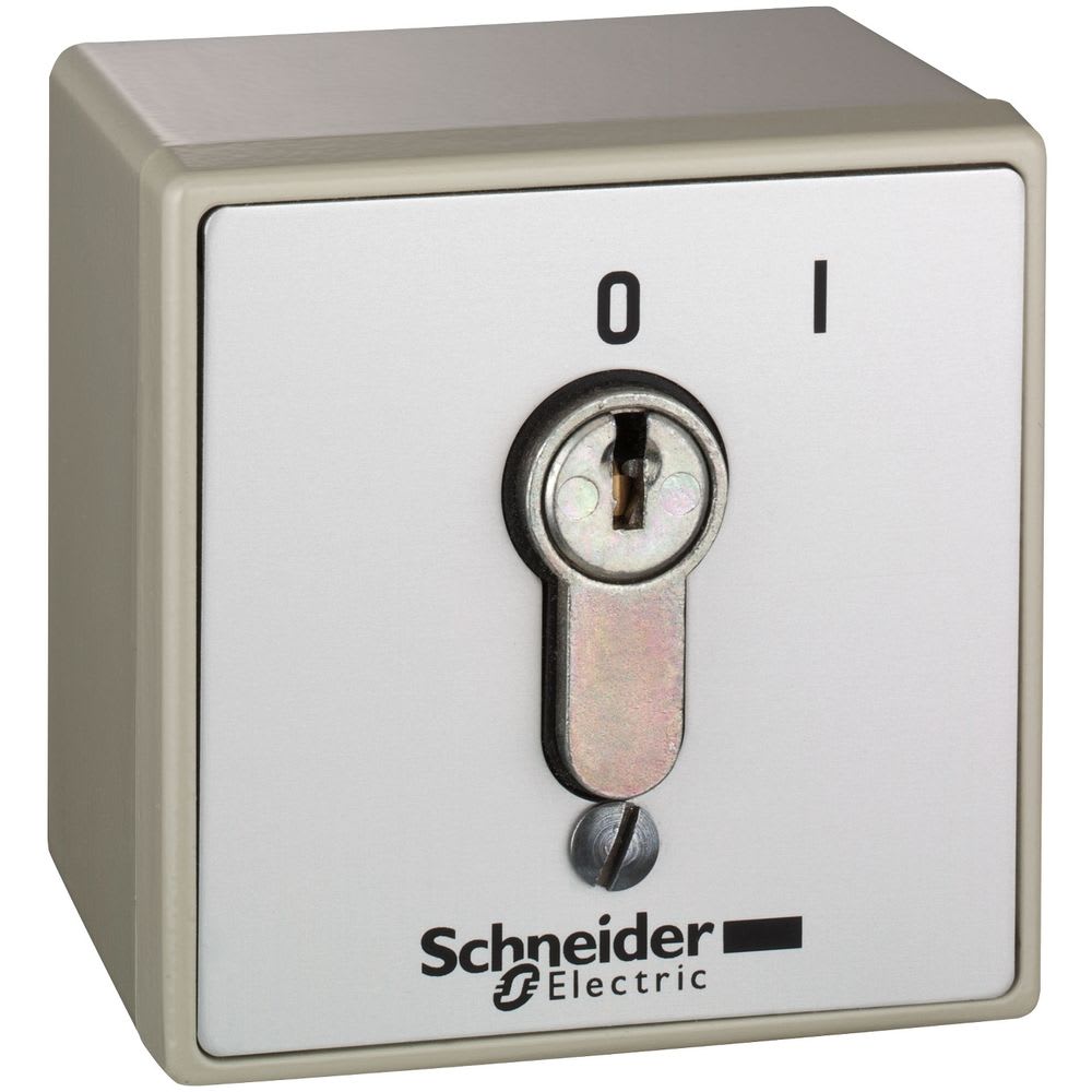 Schneider Automation - inbraakveilige opbouw-drukknopkast - XAP-S - met slot