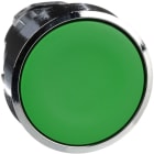 Schneider Automation - Tête pour bouton-poussoir - Ø22 - vert