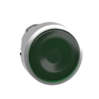 Schneider Automation - Kop voor verlichte drukknop - Ø22 - groen - zonder markering