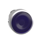 Schneider Automation - Tête pour bouton-poussoir lumineux - Ø22 - bleu
