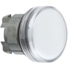 Schneider Automation - Kop voor lampje - Ø22 - rond - glad kapje wit