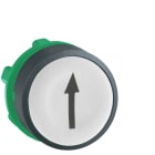Schneider Automation - tête pour bouton-poussoir  - Ø 22  - blanc - flèche haute