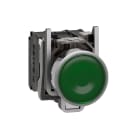 Schneider Automation - Bouton-poussoir lumineux vert Ø22 - à impulsion affleurant - 24V - 1O+1F
