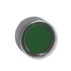 Schneider Automation - Kop voor verlichte drukknop - Ø22 - met kapje - groen - zonder markering