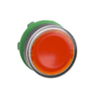 Schneider Automation - kop voor verlichte drukknop - Ø 22 - oranje - zonder markering