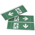 SCHNEIDER EMERGENCY LIGHTING - EXIWAY EASYLED Lot 3 pictogrammes droit, gauche, bas