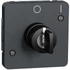 Schneider Residential - Mureva Styl - Interrupteur à clé 2 positions - composable - IP55 - IK08 - gris