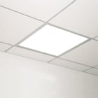 Prolumia - LED I-panel 595x595mm inbouw 42W 24V 4200lm 3000K