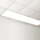 Prolumia - LED I-panel 1195x295mm inbouw 42W 1250mA 3150lm 3000K