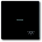 BUSCH JAEGER - Toets + lens/symbool  licht  zwart mat