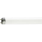 Philips Lighting - Master TL-D Food 30W G13 79 1300lm