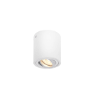 SLV Belgium - Triledo CL indoor plafondopbouwlamp QPAR51 wit max 10W