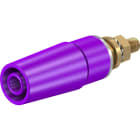 Staubli - SAB4-G 4mm safety socket mauve