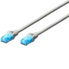 assmann - CAT 5e U-UTP câble patch, PVC, AWG 26/7, longueur 1.0m, gris