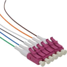 Excel Networking Solutions - Fibre Pigtail OM4 50/125 LC/UPC 12-colour pack (TIA 598) - 0.5m