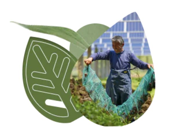 Foto klimaat
