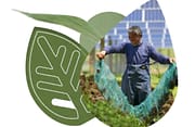 Foto klimaat