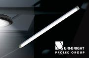 Cebeo Newsletter_450x180_april24