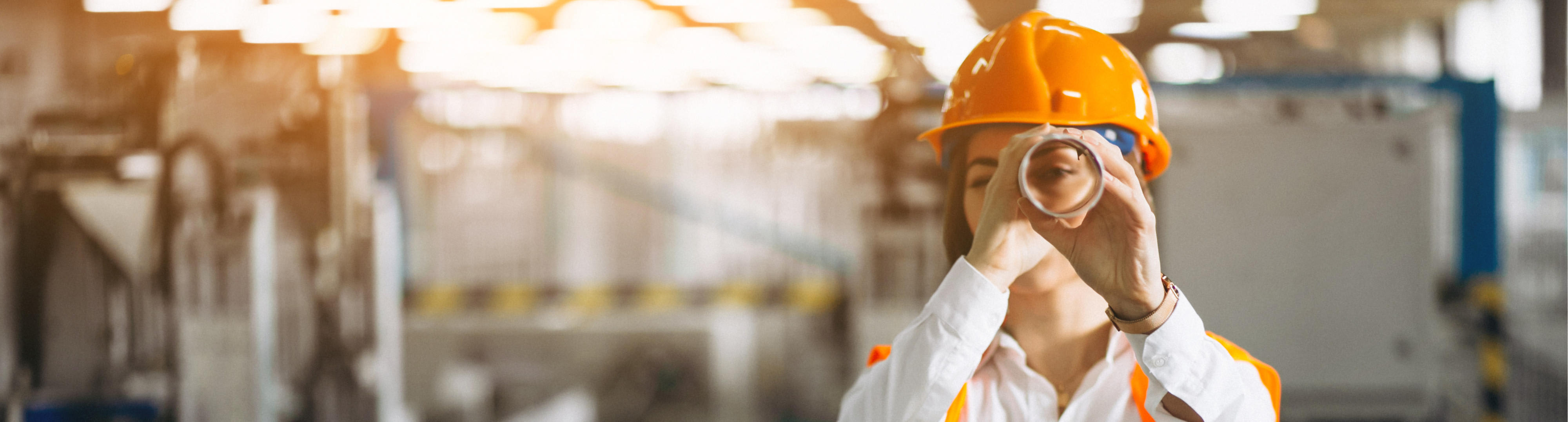 Productie- & maakindustrie (MRO-aankopen)