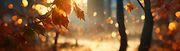 Autumn deals